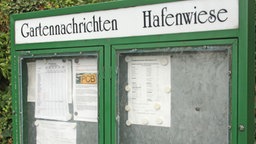 Kleingarten-Narichten im grünen Rahmen