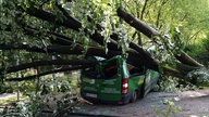 Autoschaden Duisburg Wedau