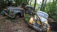 Autos im Autoskulpturenpark Neandertal.