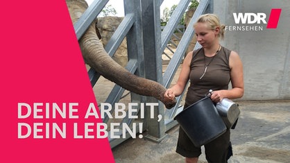 Bildmontage: links kirschrote Farbfläche, darüber Schrift "Deine Arbeit, Dein Leben!", rechts ein Bild von einer Tierpflegerin