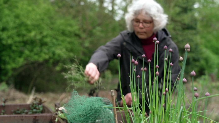 Frau rupft Grünzeug im Garten, sie ist in der Unschärfe, Fokus liegt auf Blumen im Vordergrund