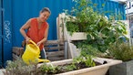 Birgit Haas im Gemeinschaftsgarten „Inselgrün“.