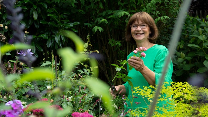 Brigitte Bergschneider an einem Rosenstock.