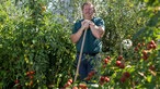 Frank Fröhlich in seinem Permakultur-Garten. 