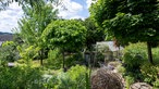 Blick in den Naturgarten von Tanja Matthes.