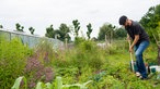 Thomas Deckert bei der Gartenarbeit.