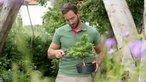 Uli Schauerte in seinem Garten mit einem Bonsai-Baum in der Hand. 