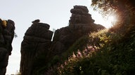 Blick auf die Externsteine