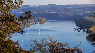 Ein Blick aus der Höhe auf den Baldeneysee und die Landschaft dahinter, auf dem See zahlreiche Segelboote