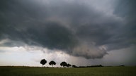 Blick auf eine Landschaft mit Feldern und einer Allee, im Hintergrund heranziehende Regenwolken