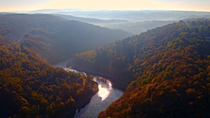 Blick auf einen Fluss im bewaldeten Eifeltal