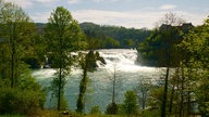 Blick auf den Rheinfall in Schaffhausen, links und rechts Wald