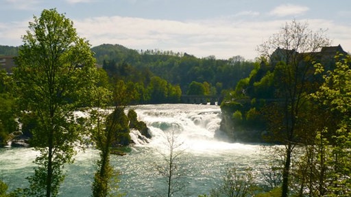 Blick auf den Rheinfall in Schaffhausen, links und rechts Wald