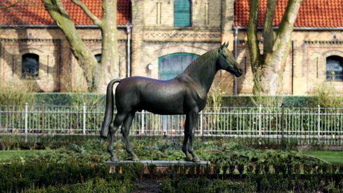 Blick auf ein alteres Landhaus, davor eine Pferdestatue