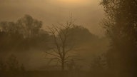 Herbst Spaziergangfoto