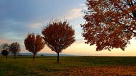 Herbst Spaziergangfoto