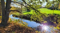 Herbst Spaziergangfoto