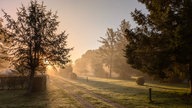 Herbst Spaziergangfoto