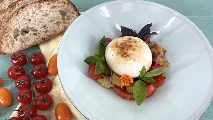 Brotsalat mit Tomaten und geflämmter Burrata