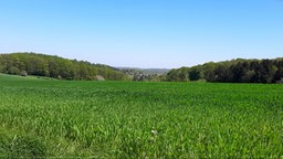  Blick auf die Elfringerhauser Schweiz 