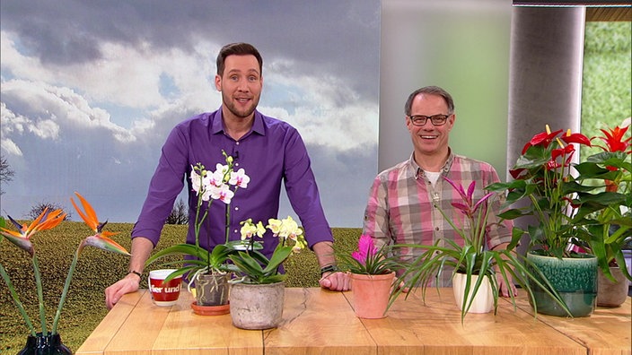 Moderator Sven Kroll und Gartenexperte Markus Phlippen im Hier und heute-Studio