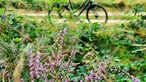 Fahrrad vor Urlaubskulisse