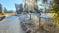 Ihre schönsten Frost-Fotos