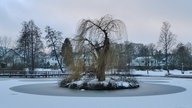 Ihre schönsten Frost-Fotos