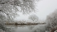 Ihre schönsten Frost-Fotos