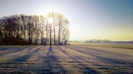 Ihre schönsten Frost-Fotos