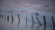 Ihre schönsten Frost-Fotos