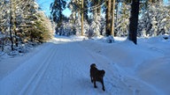 Ihre schönsten Frost-Fotos