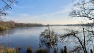 Ein zugefrorener See umgeben von Bäumen bei schönem Winterwetter