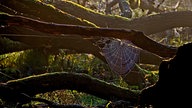 Ihre schönsten Fotos vom Herbstspaziergang