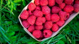 Himbeeren