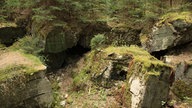 Eine Bunkeranlage im Hürtgenwald