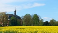 WDR, Fernsehen, Rapsfeld, Frühling