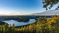 Ihre schönsten Fotos vom Herbstspaziergang