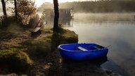 Ihre schönsten Fotos vom Herbstspaziergang