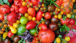 Verschiedene Tomatensorten