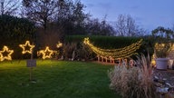 Weinachtsbeleuchtung in einem Garten.