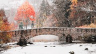 Ihre schönsten Winterspaziergänge