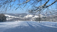 Ihre schönsten Winterspaziergänge