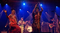 Seun Kuti & Egypt 80