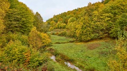 Symbolbild: Tal mit Bach, Wiese und Wald