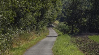 Weg schlängelt sich durch Waldlandschaft in Bocholt-Barlo