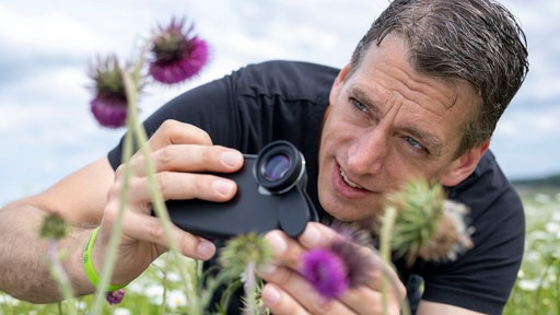 Jochen Kanders fotografiert auf seiner Blumenwiese. 