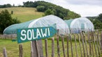 Solwi-Schild auf dem Hof von Marie Owens.