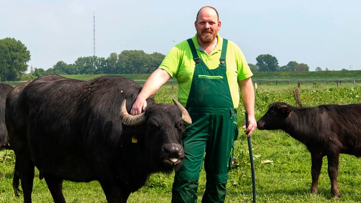 Martin Döring und seine Wasserbüffel