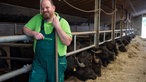 Martin Döring im Stall mit Wasserbüffeln. 